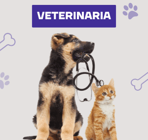 Veterinaria